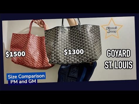 goyard zurich|More.